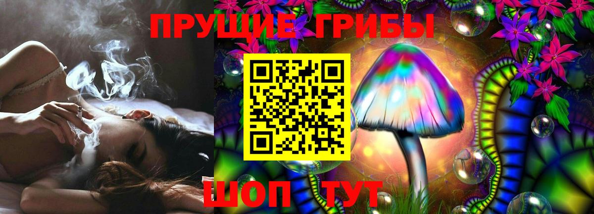 Ливны  Галлюциногенные грибы Psilocybe  Вход с VPN  Галлюциногенные грибы Cubensis 